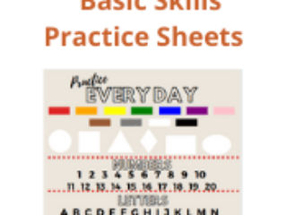 Basic Skills Practice Sheets