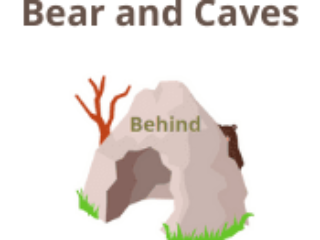 Bears and Caves