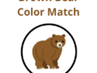 Brown Bear Color Match