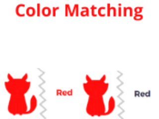 Color Matching