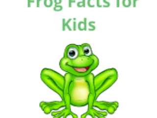 Frog Facts for Kids