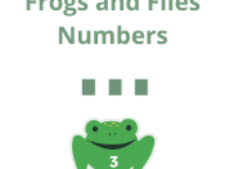 Frog and Flies Numbers