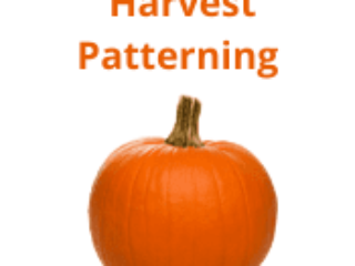 Harvest Patterning Harvest Patterning
