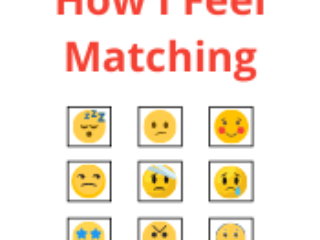 How I Feel Matching