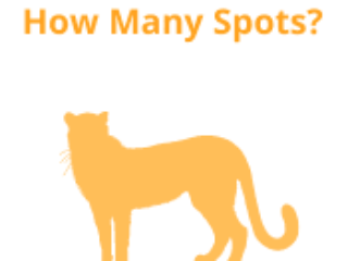 How Many Spots