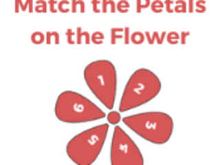 Match the petals on the flower Match the petals on the flower