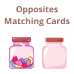 Opposites Matching Cards