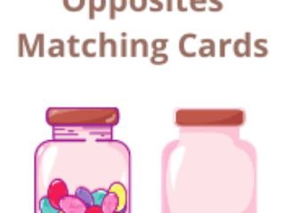 Opposites Matching Cards
