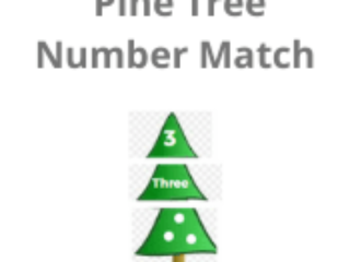 Pine Tree Number Match