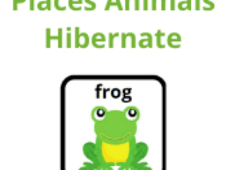 Places Animals Hibernate
