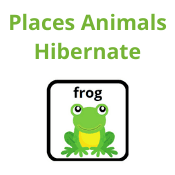 Places Animals Hibernate