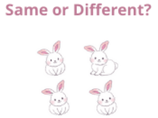 Same or Different