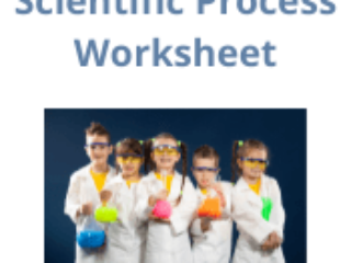 Scientific Process Worksheet
