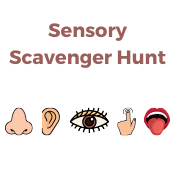 Sensory Scavenger Hunt
