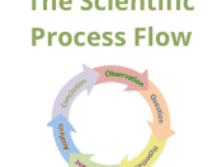 The Scientific Process Flow