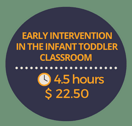 Early Intervention in the Infant Toddler Classroom